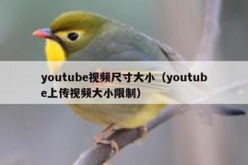 youtube视频尺寸大小（youtube上传视频大小限制）