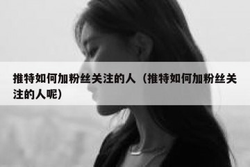 推特如何加粉丝关注的人（推特如何加粉丝关注的人呢）