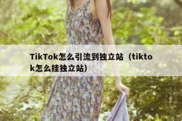 TikTok怎么引流到独立站（tiktok怎么挂独立站）