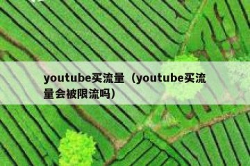 youtube买流量（youtube买流量会被限流吗）