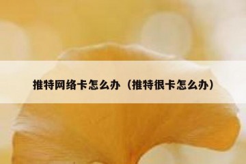 推特网络卡怎么办（推特很卡怎么办）
