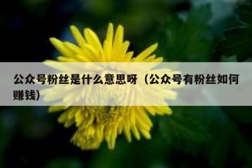 公众号粉丝是什么意思呀（公众号有粉丝如何赚钱）