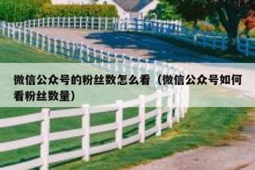 微信公众号的粉丝数怎么看（微信公众号如何看粉丝数量）