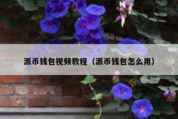 派币钱包视频教程（派币钱包怎么用）