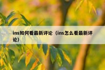 ins如何看最新评论（ins怎么看最新评论）