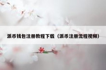 派币钱包注册教程下载（派币注册流程视频）