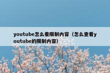 youtube怎么看限制内容（怎么查看youtube的限制内容）