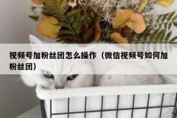 视频号加粉丝团怎么操作（微信视频号如何加粉丝团）