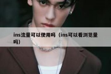 ins流量可以使用吗（ins可以看浏览量吗）