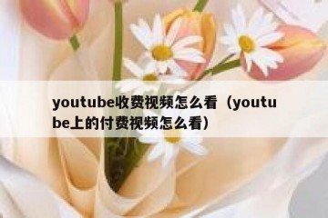 youtube收费视频怎么看（youtube上的付费视频怎么看）