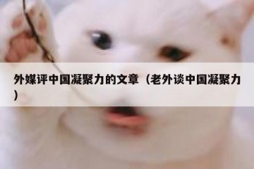 外媒评中国凝聚力的文章（老外谈中国凝聚力）