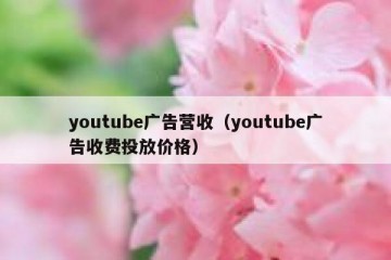 youtube广告营收（youtube广告收费投放价格）