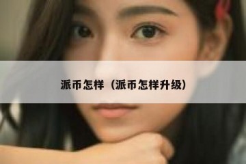 派币怎样（派币怎样升级）