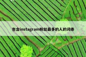 包含instagram粉丝最多的人的词条