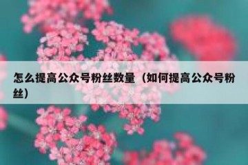 怎么提高公众号粉丝数量（如何提高公众号粉丝）
