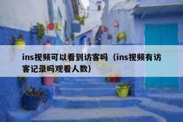 ins视频可以看到访客吗（ins视频有访客记录吗观看人数）