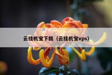 云挂机宝下载（云挂机宝vps）
