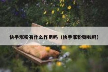 快手涨粉有什么作用吗（快手涨粉赚钱吗）