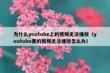 为什么youtube上的视频无法播放（youtube里的视频无法播放怎么办）
