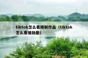 tiktok怎么看限制作品（tiktok怎么看播放量）