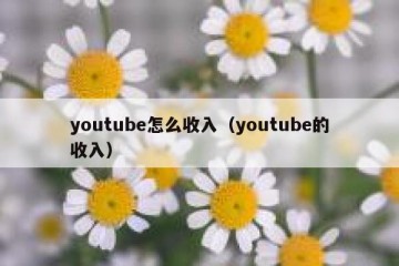 youtube怎么收入（youtube的收入）