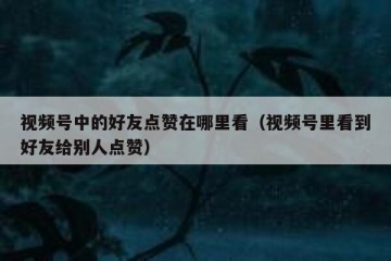 视频号中的好友点赞在哪里看（视频号里看到好友给别人点赞）