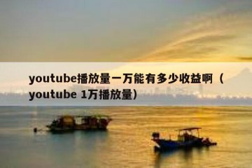 youtube播放量一万能有多少收益啊（youtube 1万播放量）