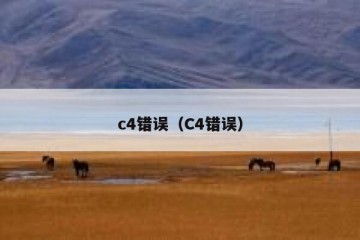 c4错误（C4错误）