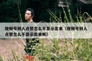 视频号别人点赞怎么不显示出来（视频号别人点赞怎么不显示出来呢）