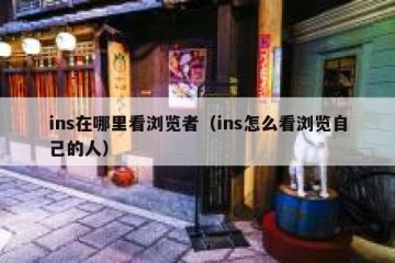 ins在哪里看浏览者（ins怎么看浏览自己的人）