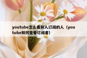 youtube怎么看别人订阅的人（youtube如何查看订阅者）