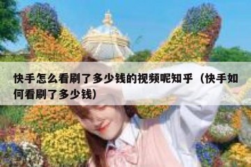 快手怎么看刷了多少钱的视频呢知乎（快手如何看刷了多少钱）