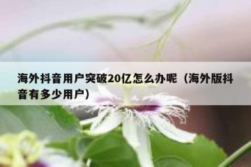 海外抖音用户突破20亿怎么办呢（海外版抖音有多少用户）