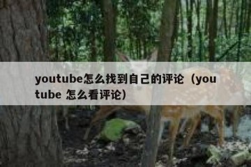 youtube怎么找到自己的评论（youtube 怎么看评论）