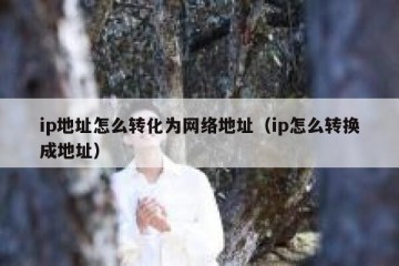 ip地址怎么转化为网络地址（ip怎么转换成地址）