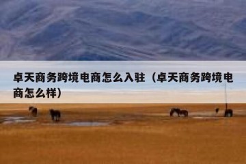卓天商务跨境电商怎么入驻（卓天商务跨境电商怎么样）