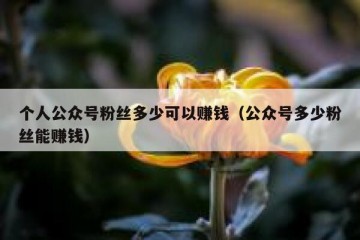 个人公众号粉丝多少可以赚钱（公众号多少粉丝能赚钱）