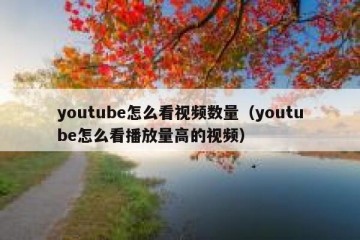 youtube怎么看视频数量（youtube怎么看播放量高的视频）