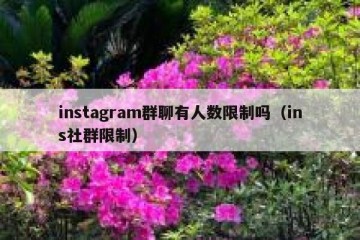 instagram群聊有人数限制吗（ins社群限制）