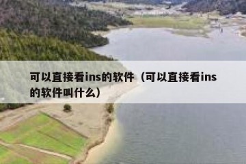 可以直接看ins的软件（可以直接看ins的软件叫什么）