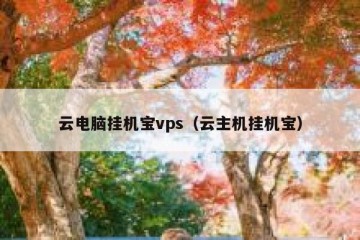 云电脑挂机宝vps（云主机挂机宝）