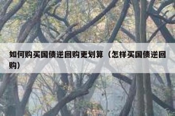 如何购买国债逆回购更划算（怎样买国债逆回购）