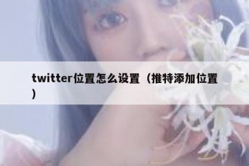 twitter位置怎么设置（推特添加位置）