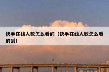快手在线人数怎么看的（快手在线人数怎么看的到）