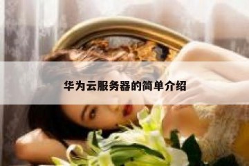华为云服务器的简单介绍
