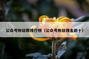 公众号粉丝数排行榜（公众号粉丝排名前十）
