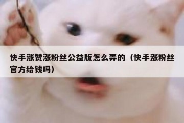 快手涨赞涨粉丝公益版怎么弄的（快手涨粉丝官方给钱吗）