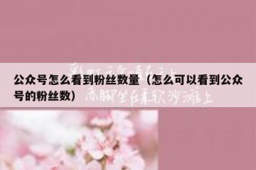 公众号怎么看到粉丝数量（怎么可以看到公众号的粉丝数）