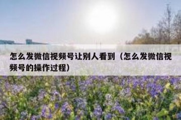 怎么发微信视频号让别人看到（怎么发微信视频号的操作过程）