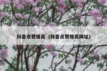 抖音点赞提高（抖音点赞提高网址）